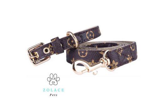 Chewy V Faux Leather Collar and Leash Set